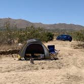 Review photo of Joshua Tree Lake Dispersed Camping by Salem L., July 22, 2020