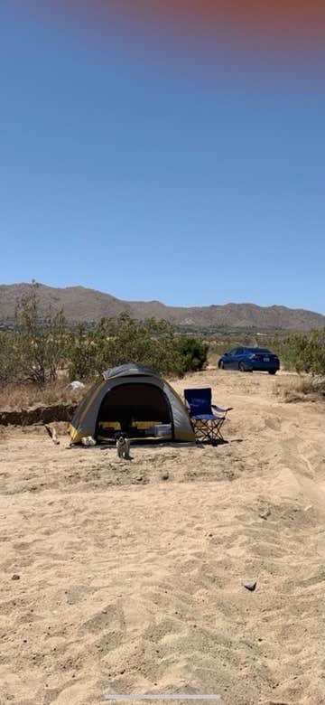 Camper submitted image from Joshua Tree Lake Dispersed Camping - 3