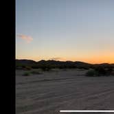 Review photo of Joshua Tree Lake Dispersed Camping by Salem L., July 22, 2020
