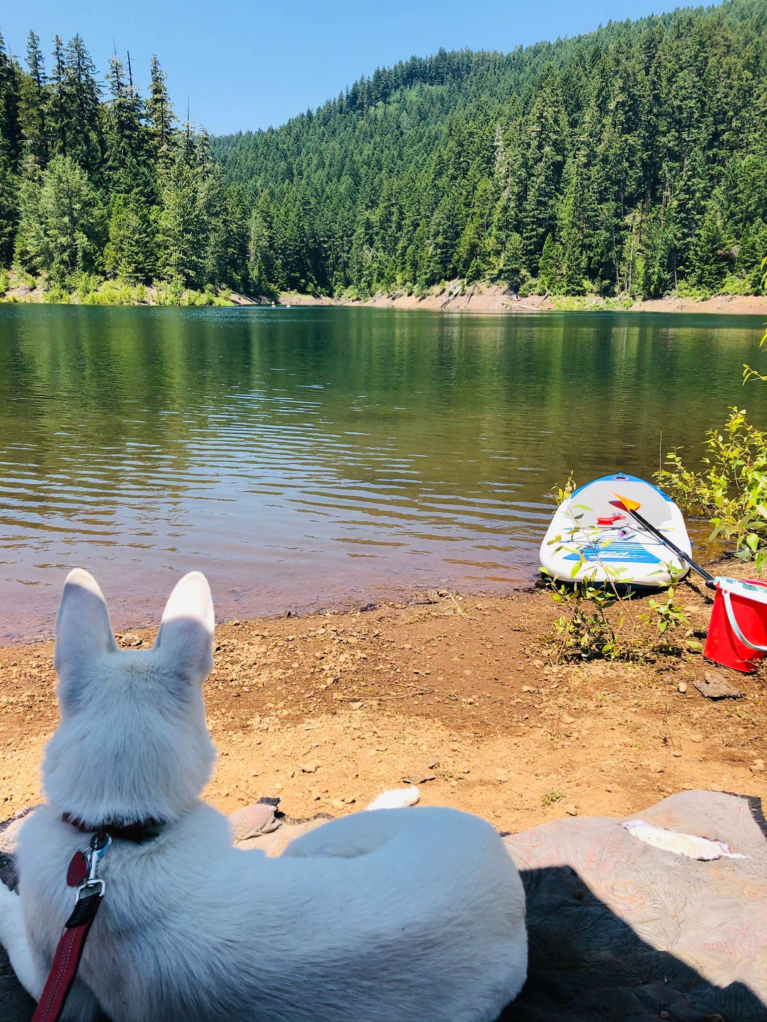 Eric  M.'s photo of camping with pets at Spruces Campground (Dixie NF) near Cedar City, UT