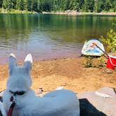 Review photo of Spruces Campground (Dixie NF) by Eric  M., July 22, 2020