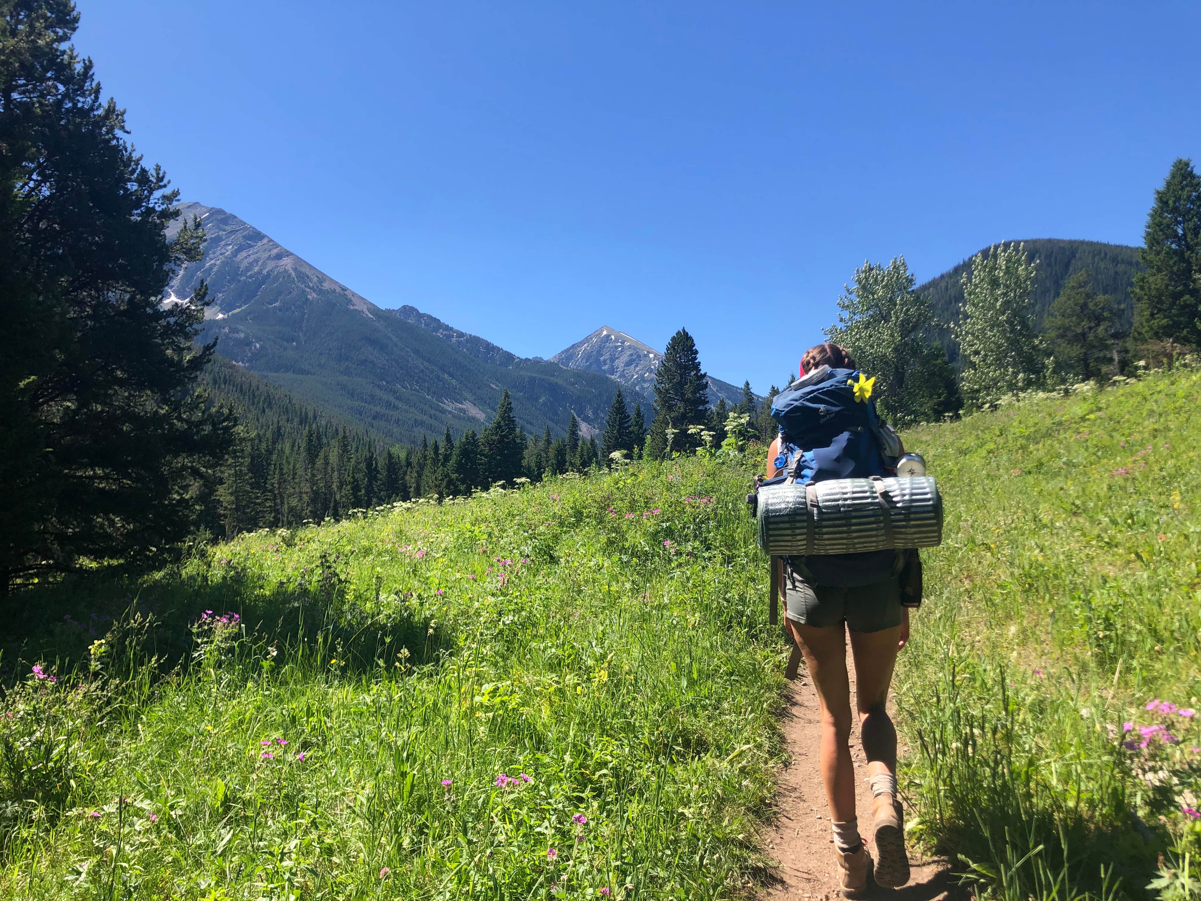 Camper submitted image from Spanish Creek Picnic Area - 5