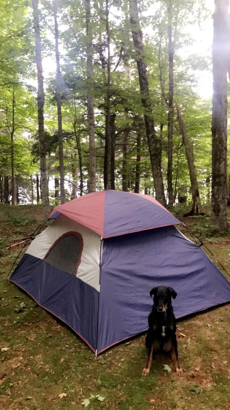 Amy K.'s photo at Imp Lake Campground near Trout Creek, MI