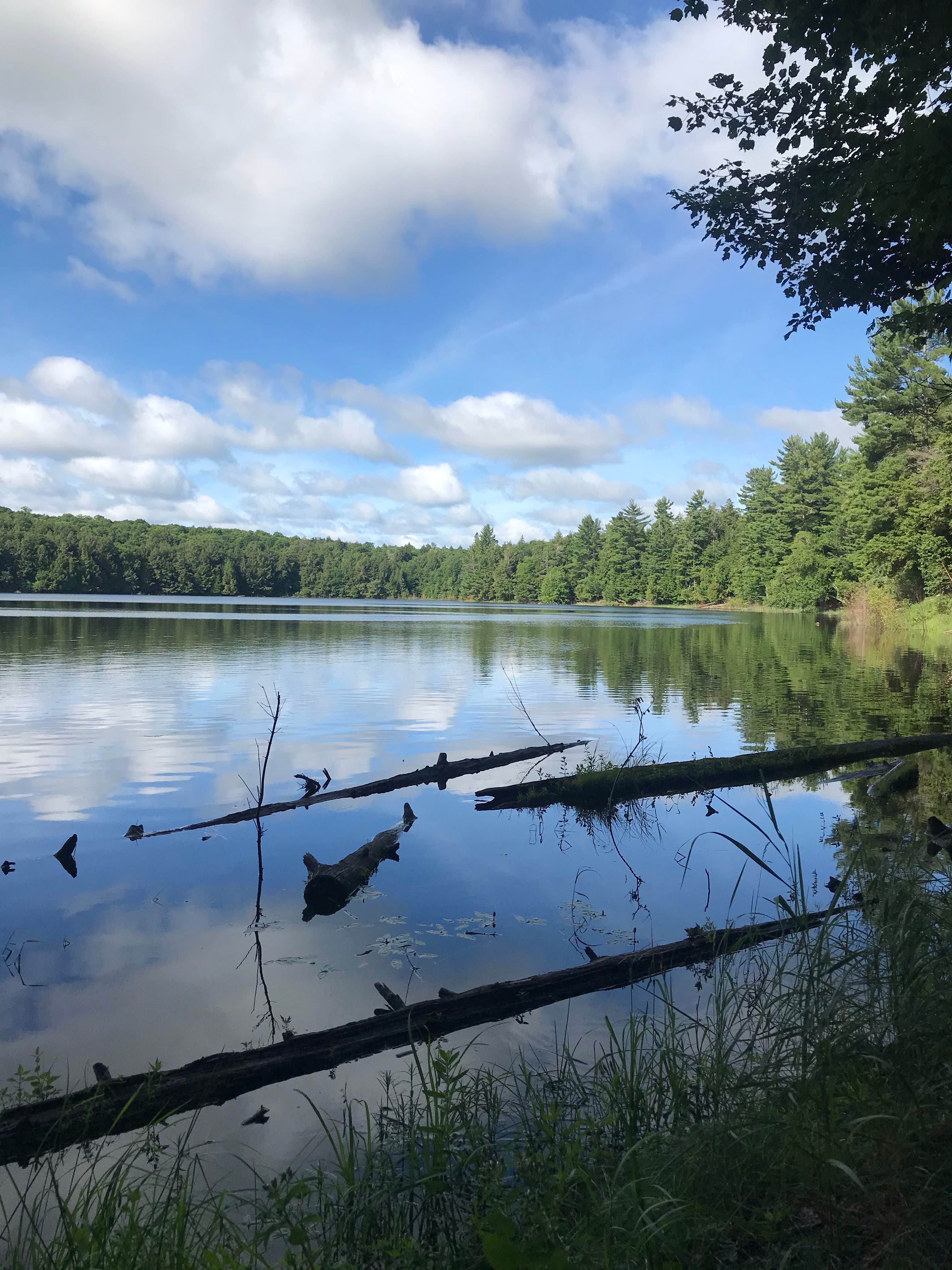 Camper-submitted photo at Imp Lake Campground near Watersmeet, MI