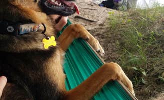 Josh D.'s photo of tent camping at Manistee River Trail Dispersed Camping near Leland, MI