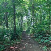 Review photo of Greenbrier State Park Campground - TEMPORARILY CLOSED by Cassia  M., July 22, 2020