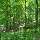 Review photo of Greenbrier State Park Campground - TEMPORARILY CLOSED by Cassia  M., July 22, 2020