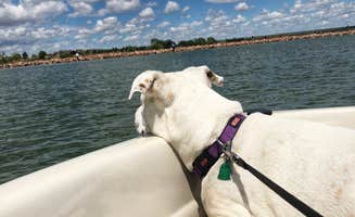 Alexandria A.'s photo of camping with pets at Jackson Lake State Park Campground near Fort Morgan, CO