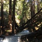 Review photo of Limekiln State Park - TEMPORARILY CLOSED by Nicole O., March 20, 2018