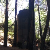 Review photo of Limekiln State Park - TEMPORARILY CLOSED by Nicole O., March 20, 2018