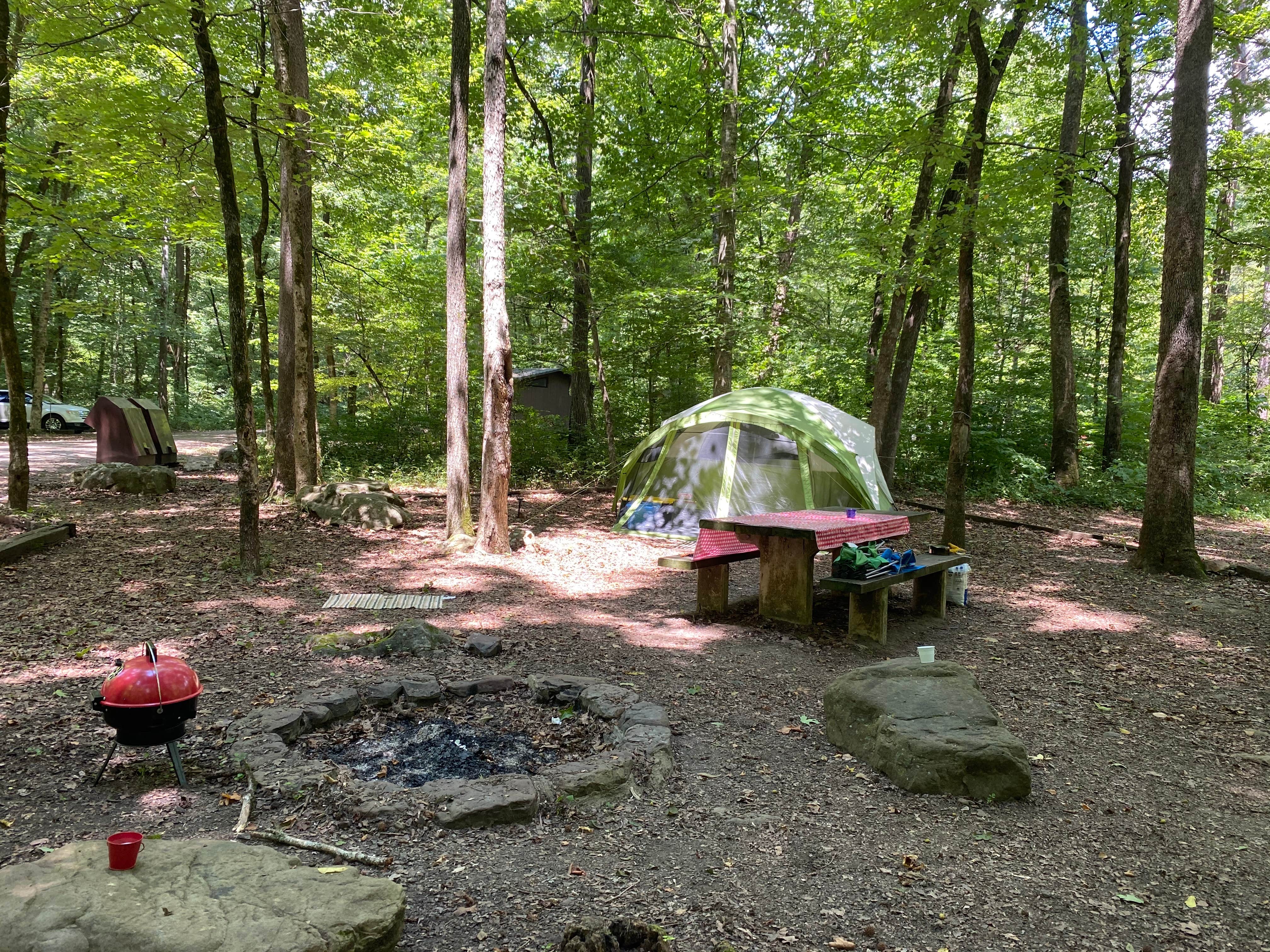 Samantha W.'s photo of tent camping at Haw Creek Falls Camping near Leslie, AR