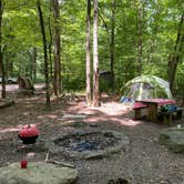 Review photo of Haw Creek Falls Camping by Samantha W., July 22, 2020