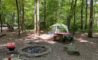 Samantha W.'s photo at Haw Creek Falls Camping near Hagarville, AR