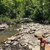 Review photo of Haw Creek Falls Camping by Samantha W., July 22, 2020