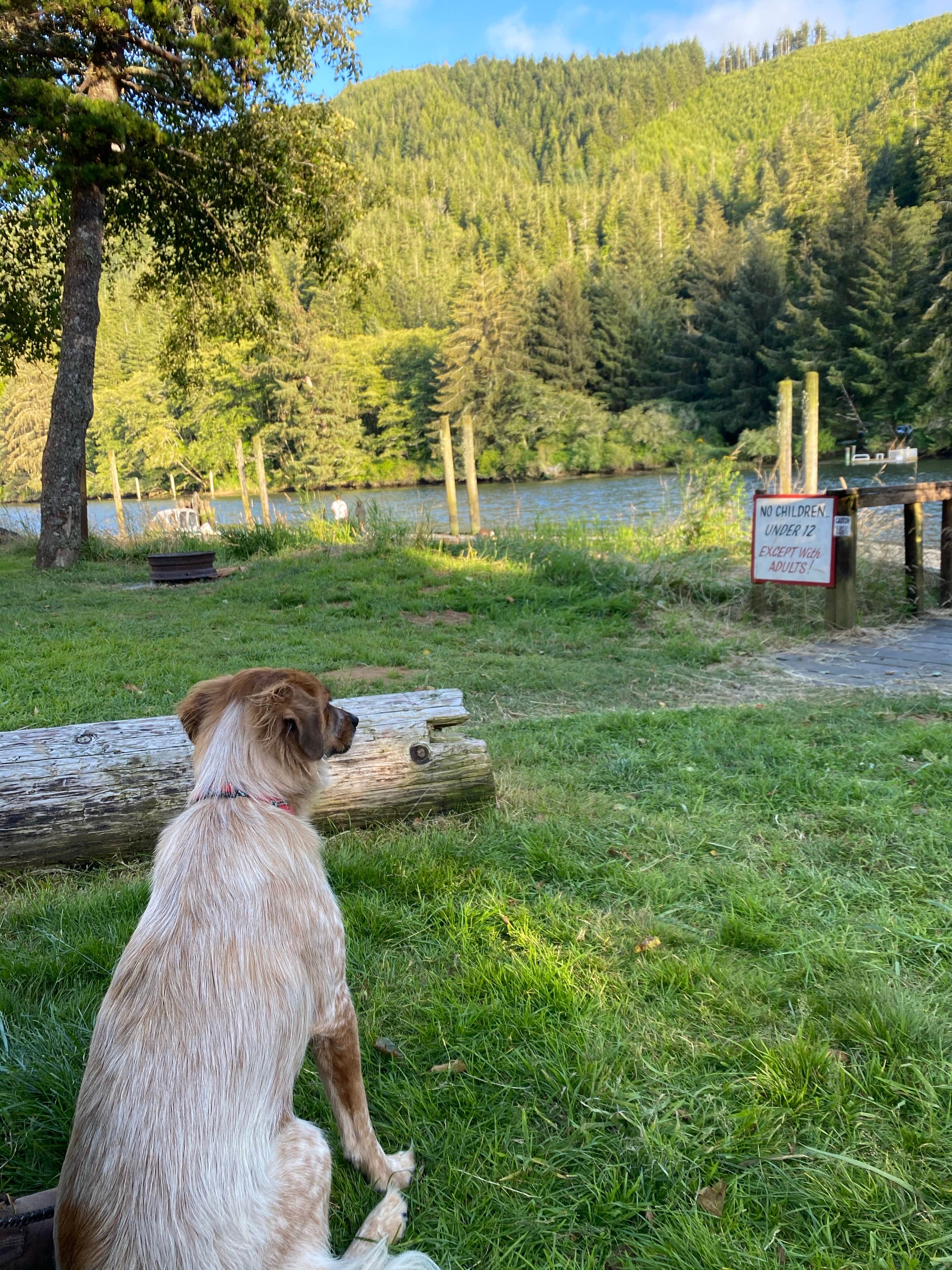 Vanessa M.'s photo of camping with pets at Coyote Rock RV Resort & Marina near Newport, OR