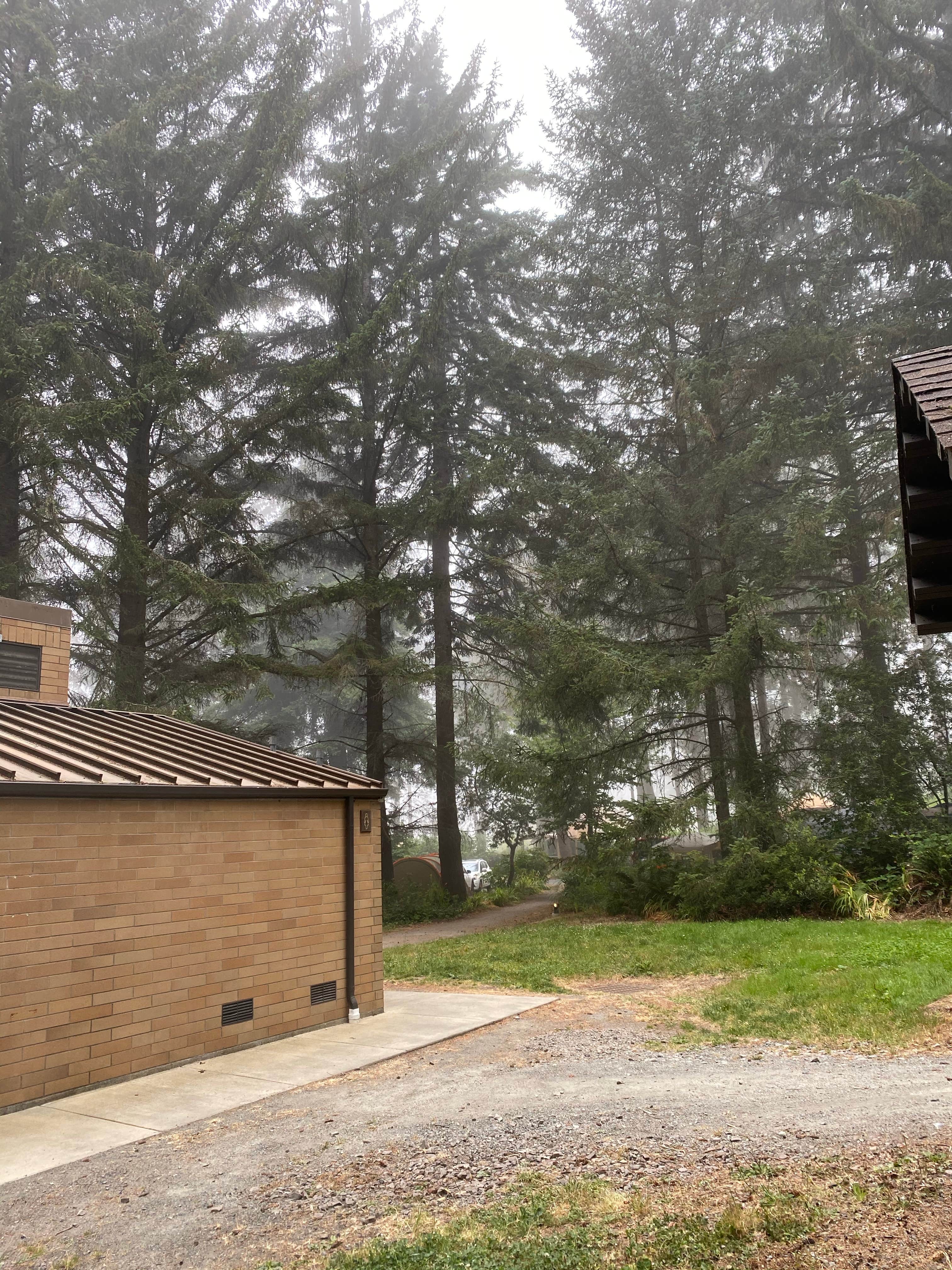 Vanessa M.'s photo of a cabin at Harris Beach State Park Campground near Agness, OR