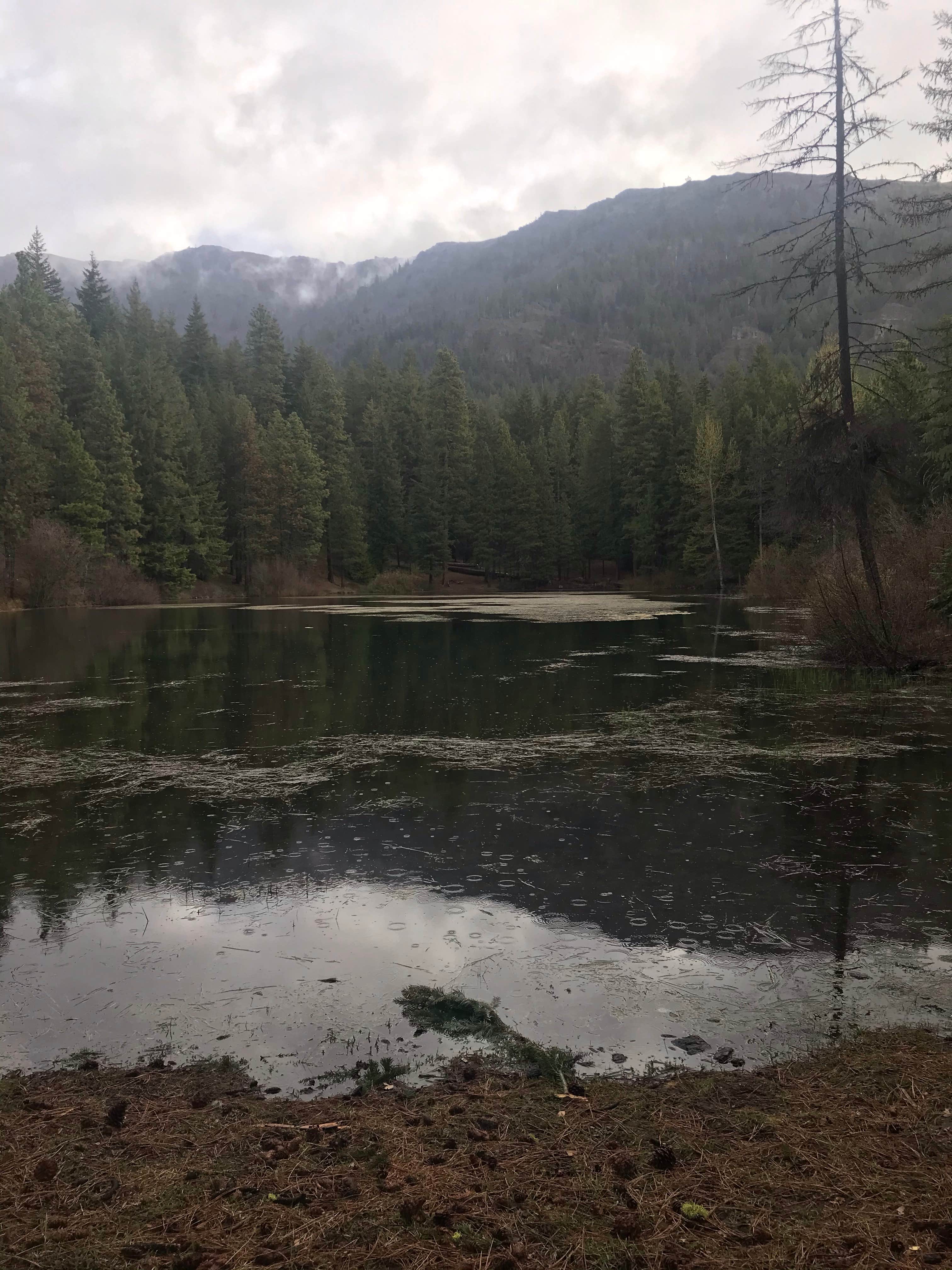Camper-submitted photo at Tieton Pond near Goose Prairie, WA