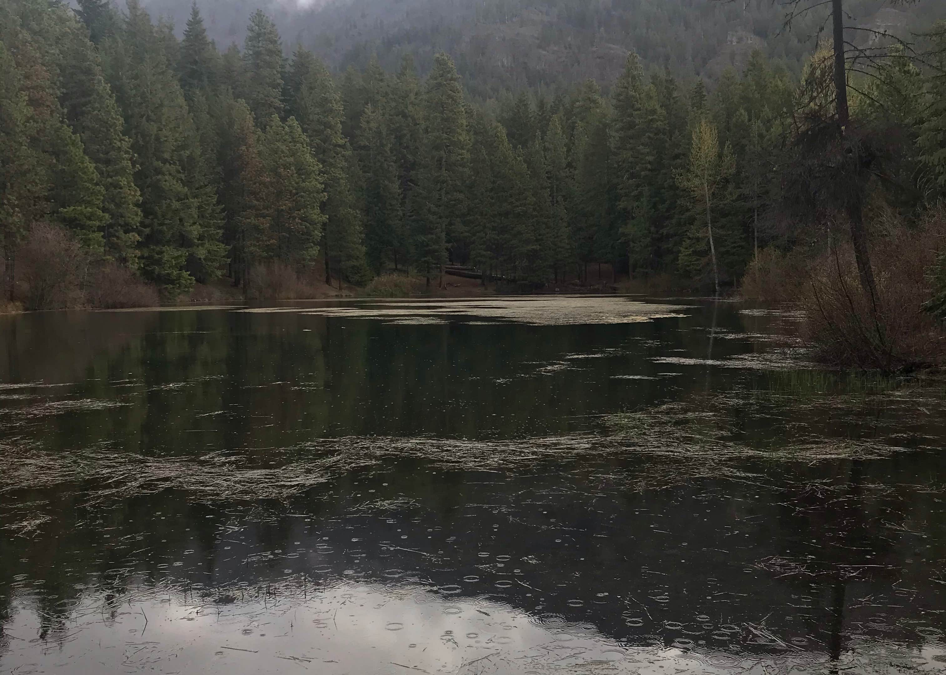 Tieton Pond Camping The Dyrt