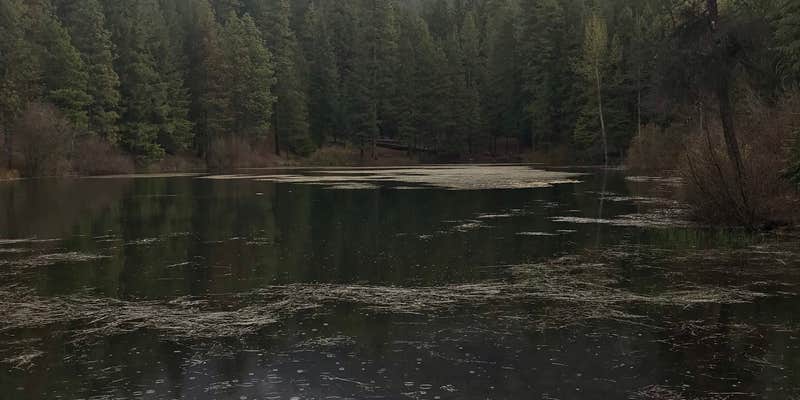 Camper submitted image from Tieton Pond