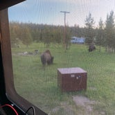 Review photo of Bridge Bay Campground — Yellowstone National Park by CHris B., July 22, 2020