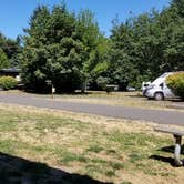 Review photo of Armitage Park & Campground - a Lane County Park by Theo A., July 22, 2020