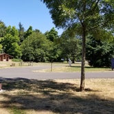Review photo of Armitage Park & Campground - a Lane County Park by Theo A., July 22, 2020