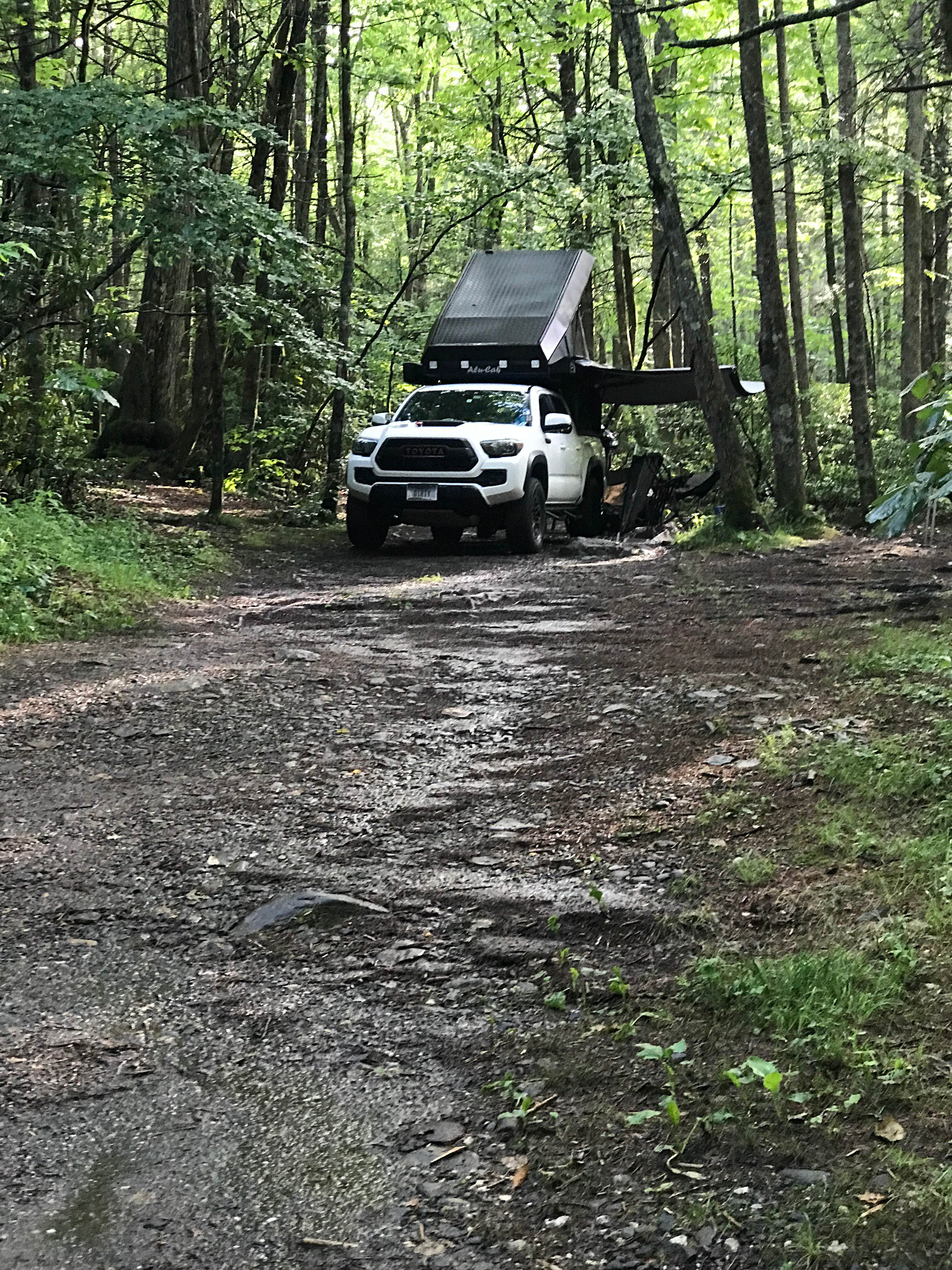 Camper-submitted photo at Victor Road Dispersed near Linville Falls, NC