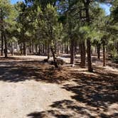 Review photo of Pinal Campground by Krista Z., March 20, 2018