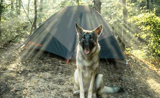 Tyler B.'s photo at Kings Mountain — Kings Mountain State Park near Denver, NC