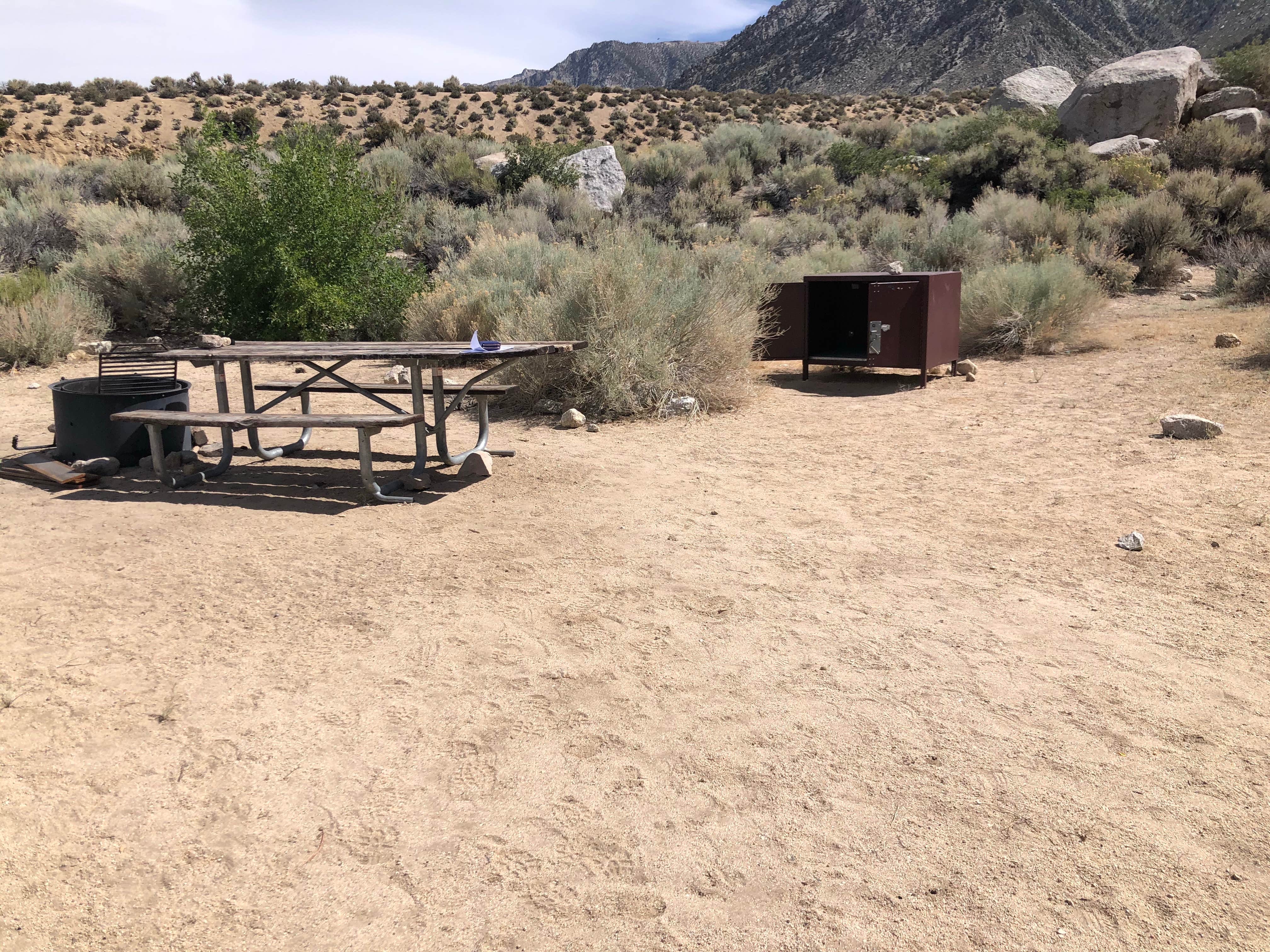 Camper submitted image from Lone Pine - 4