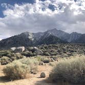 Review photo of Lone Pine by Madeline B., July 22, 2020