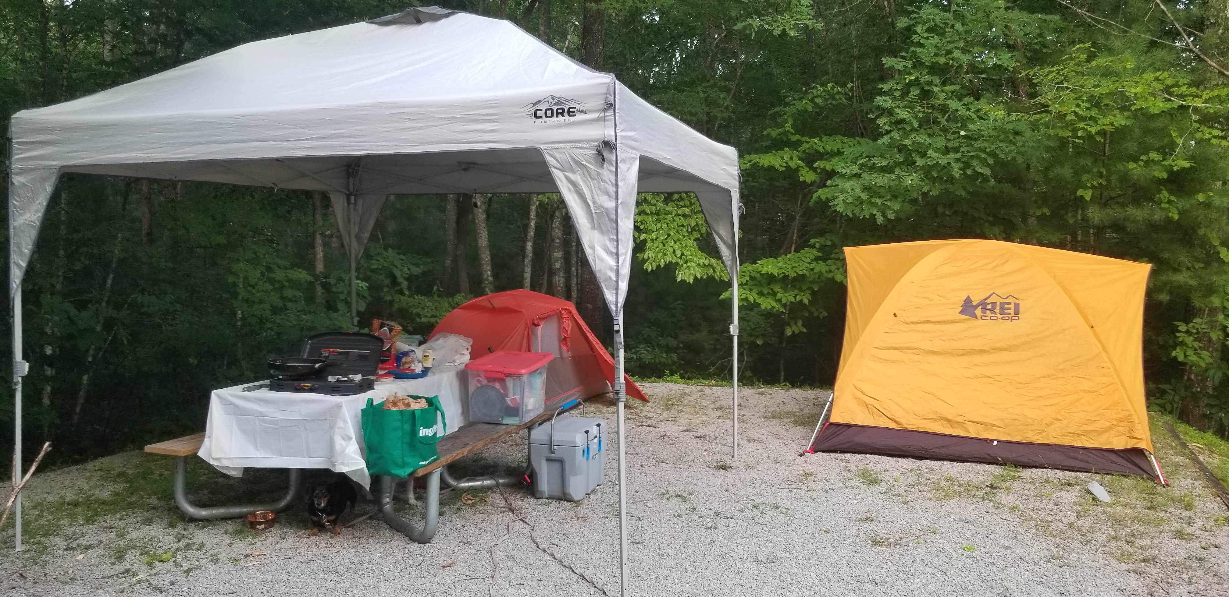 Katrin M.'s photo at Bandy Creek Campground — Big South Fork National River and Recreation Area near Jamestown, TN
