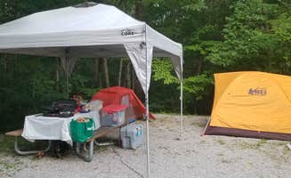 Katrin M.'s photo at Bandy Creek Campground — Big South Fork National River and Recreation Area near Jamestown, TN