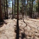 Review photo of Pinal Campground by Krista Z., March 20, 2018