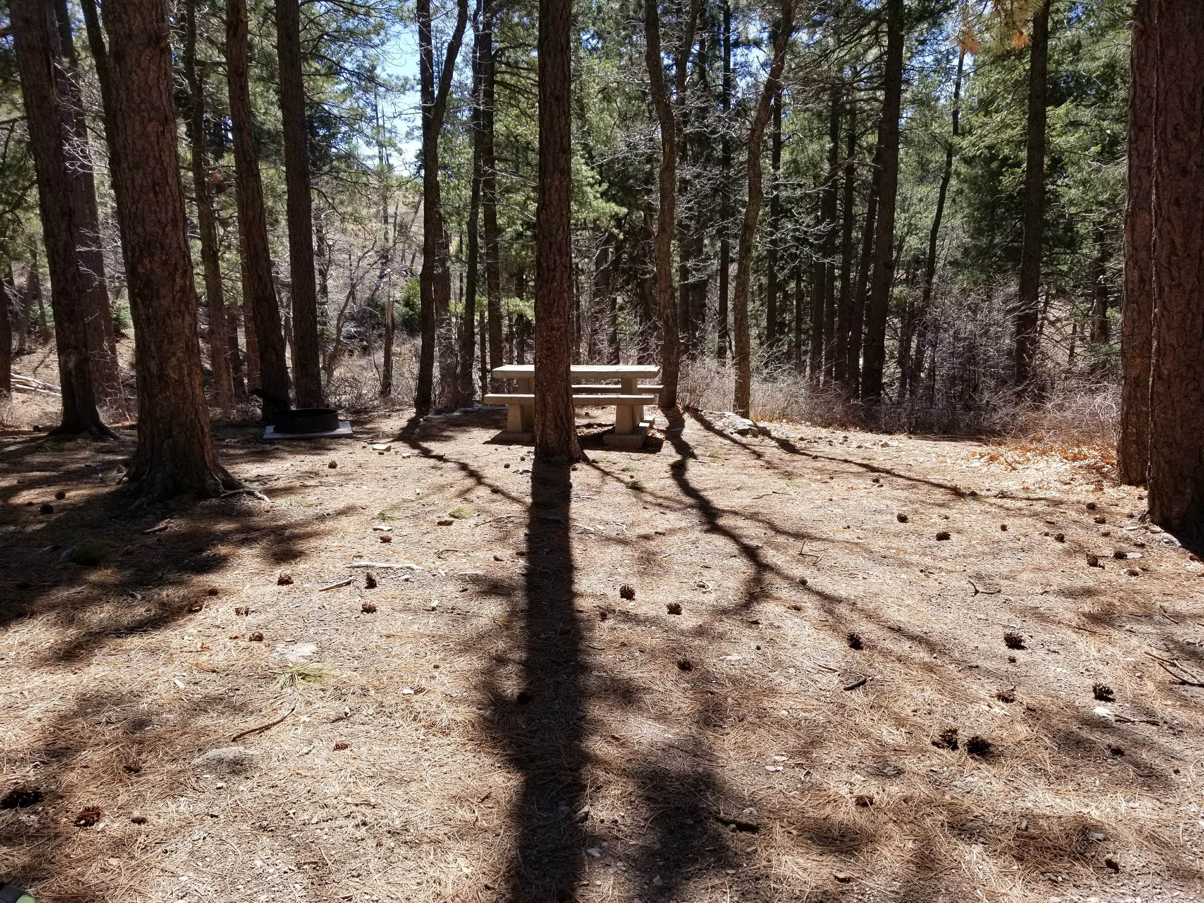 Camper submitted image from Pinal Campground - 5