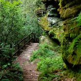 Review photo of Bandy Creek Campground — Big South Fork National River and Recreation Area by Katrin M., July 22, 2020