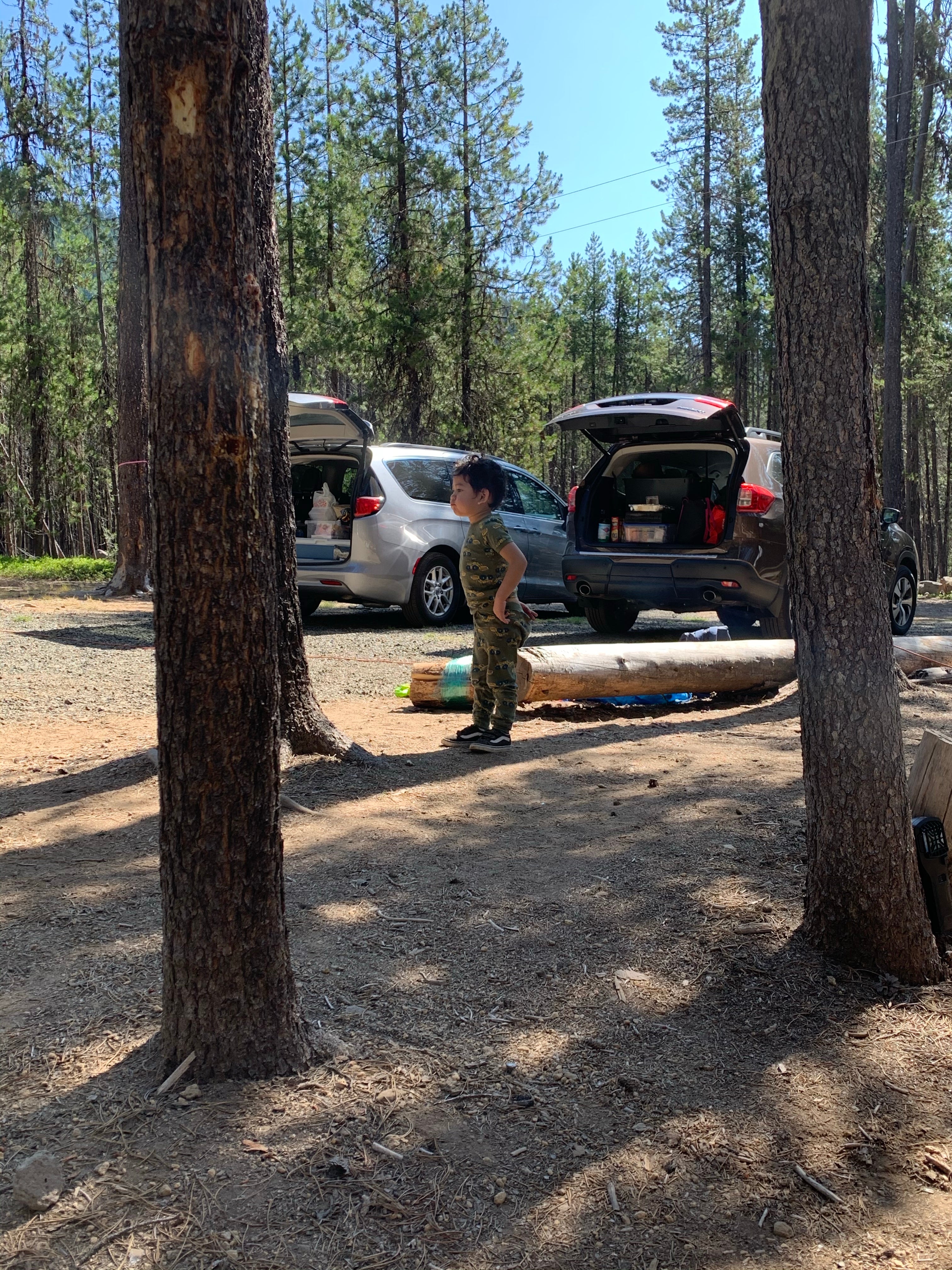 Camper submitted image from KOA Lemolo Lake / Crater Lake North - 5