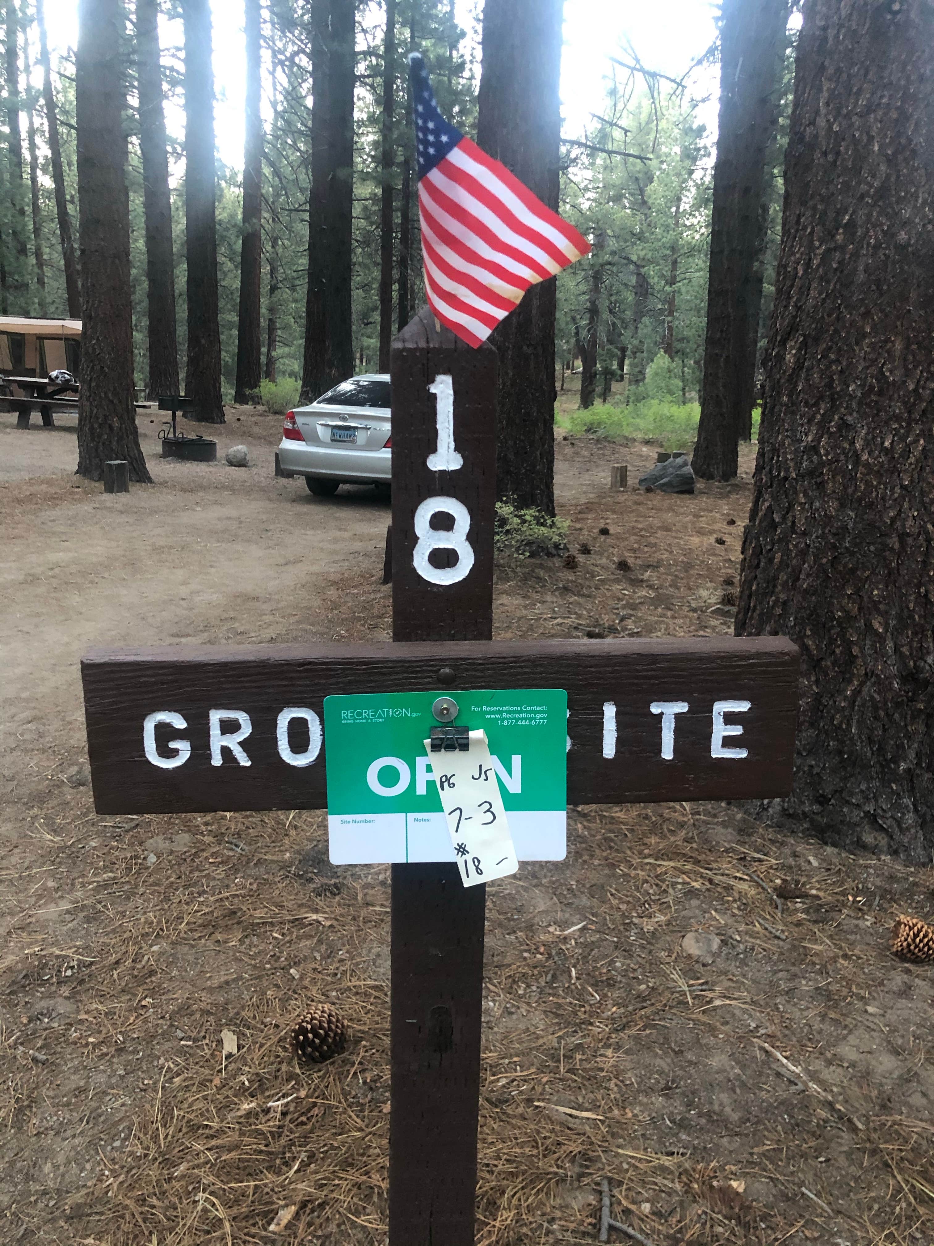 Camper submitted image from Pine Glen - 4