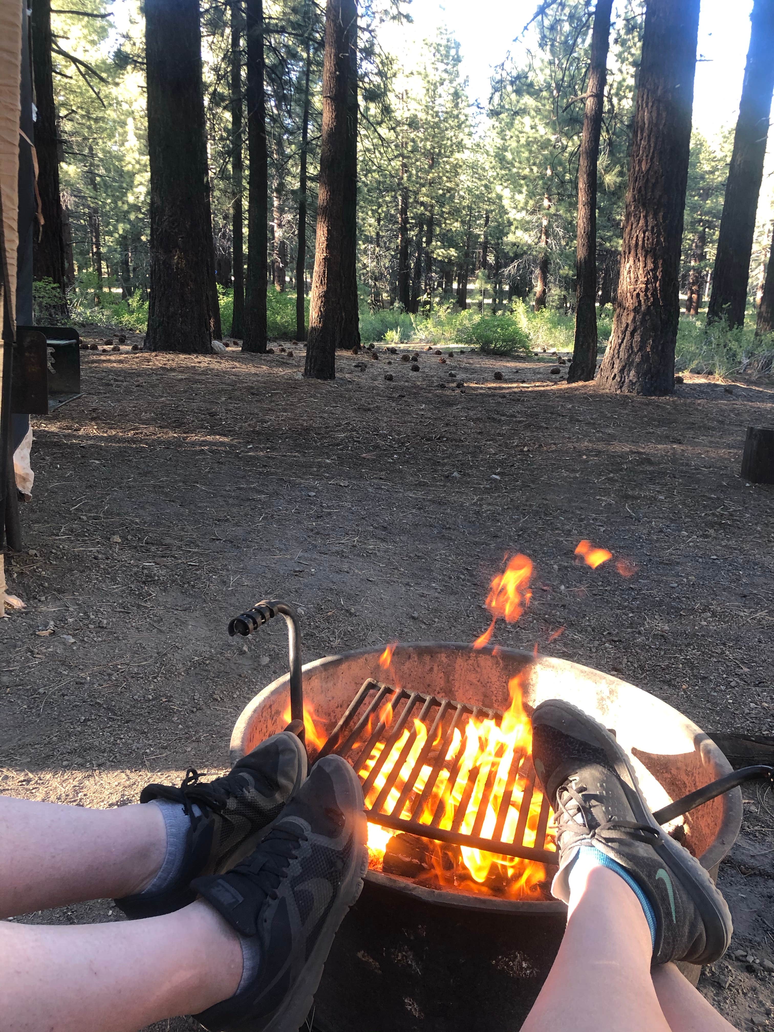 Camper submitted image from Pine Glen - 5