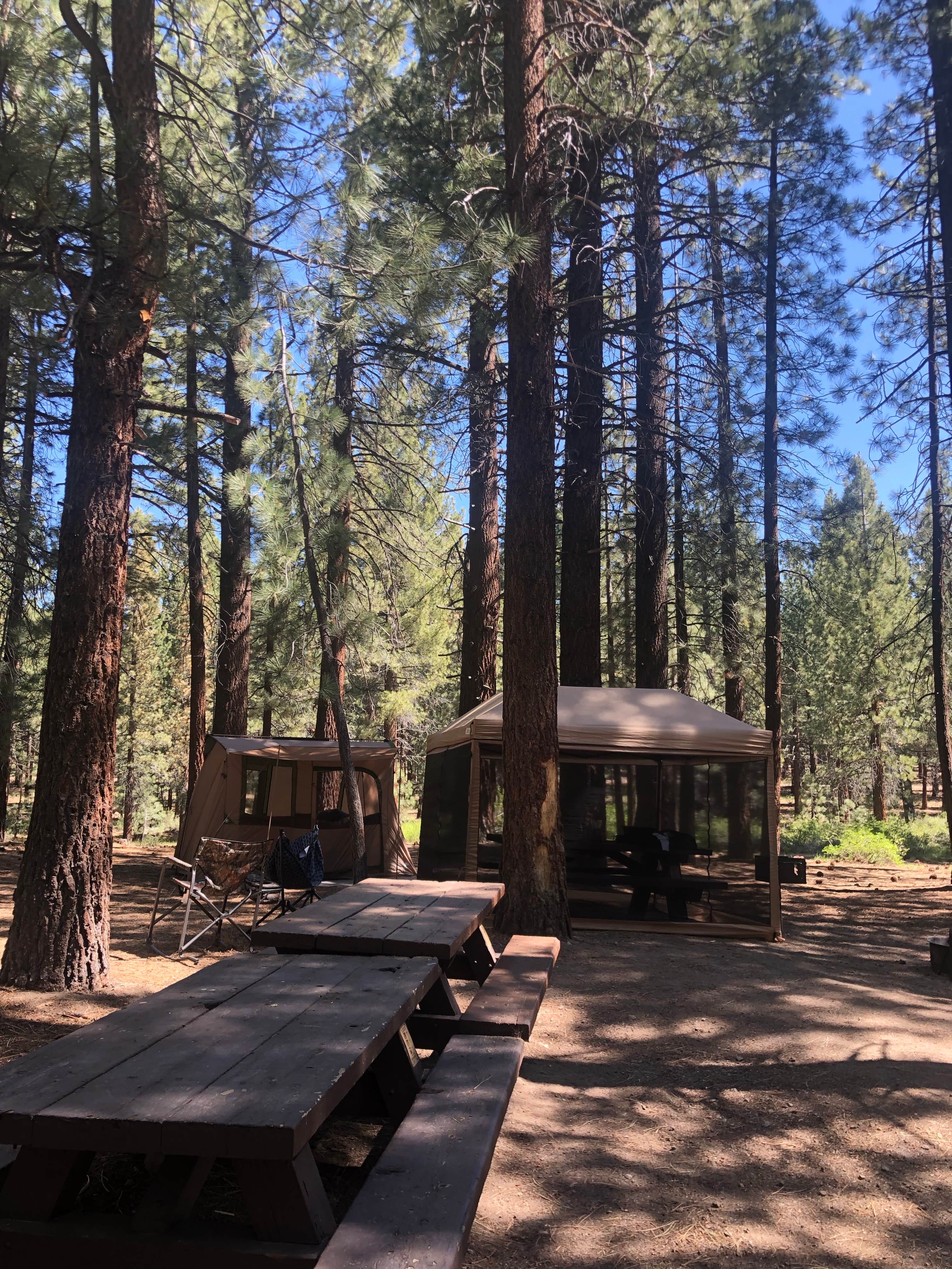 Camper submitted image from Pine Glen - 3