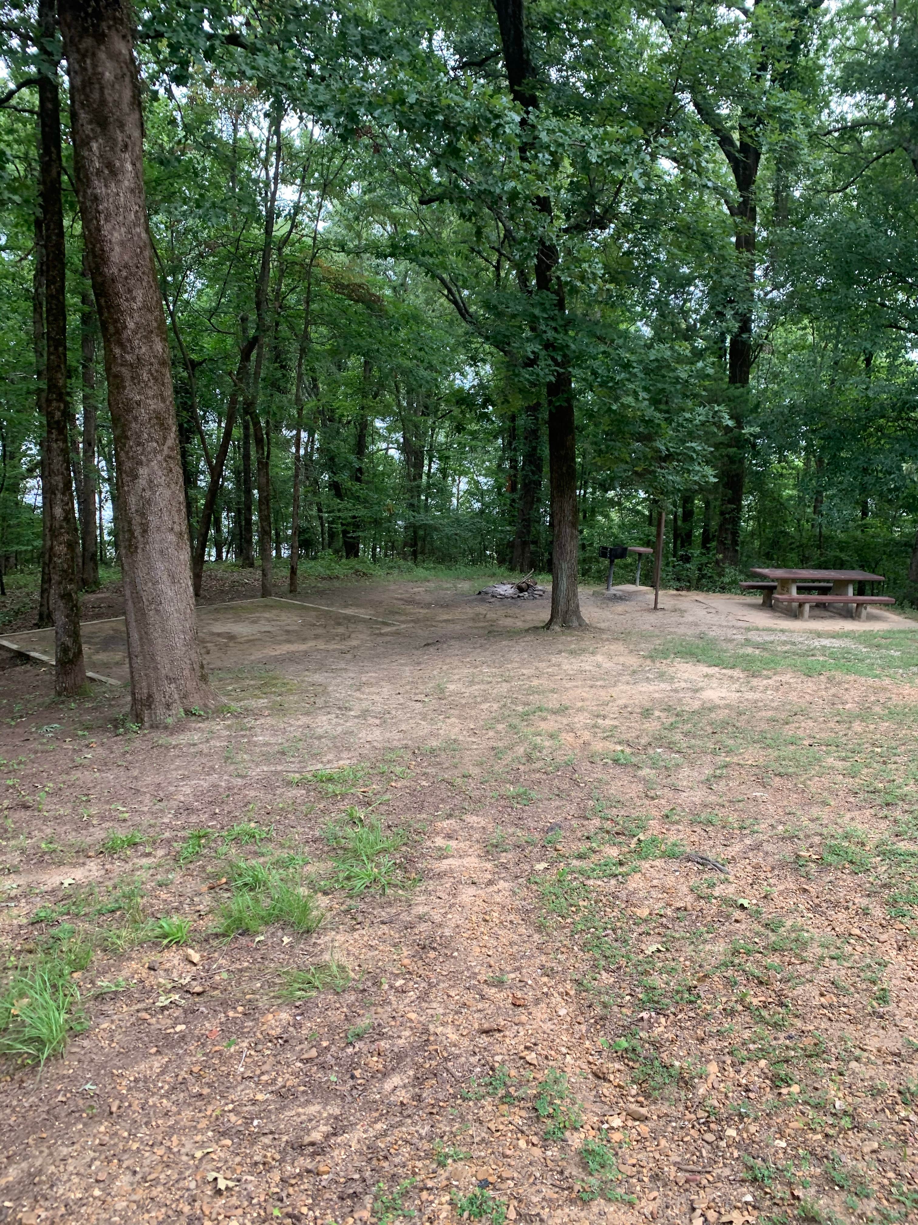 Camper-submitted photo at Clear Creek - Sardis Lake near Sardis, MS