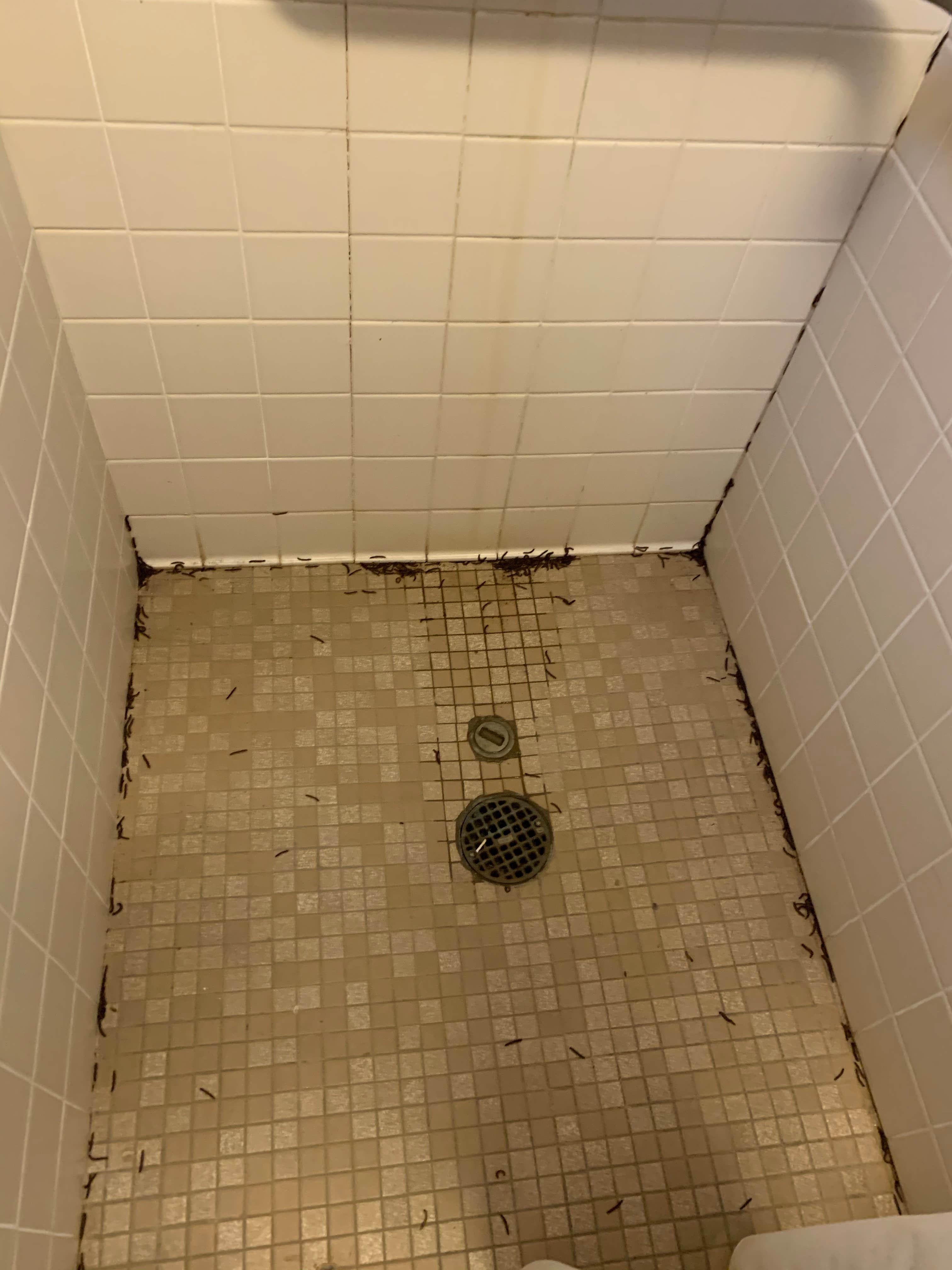 Camper-submitted photo at Clear Creek - Sardis Lake near Sardis, MS