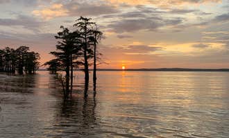 Camping near Beach Point - Sardis Lake: Clear Creek - Sardis Lake, University, Mississippi