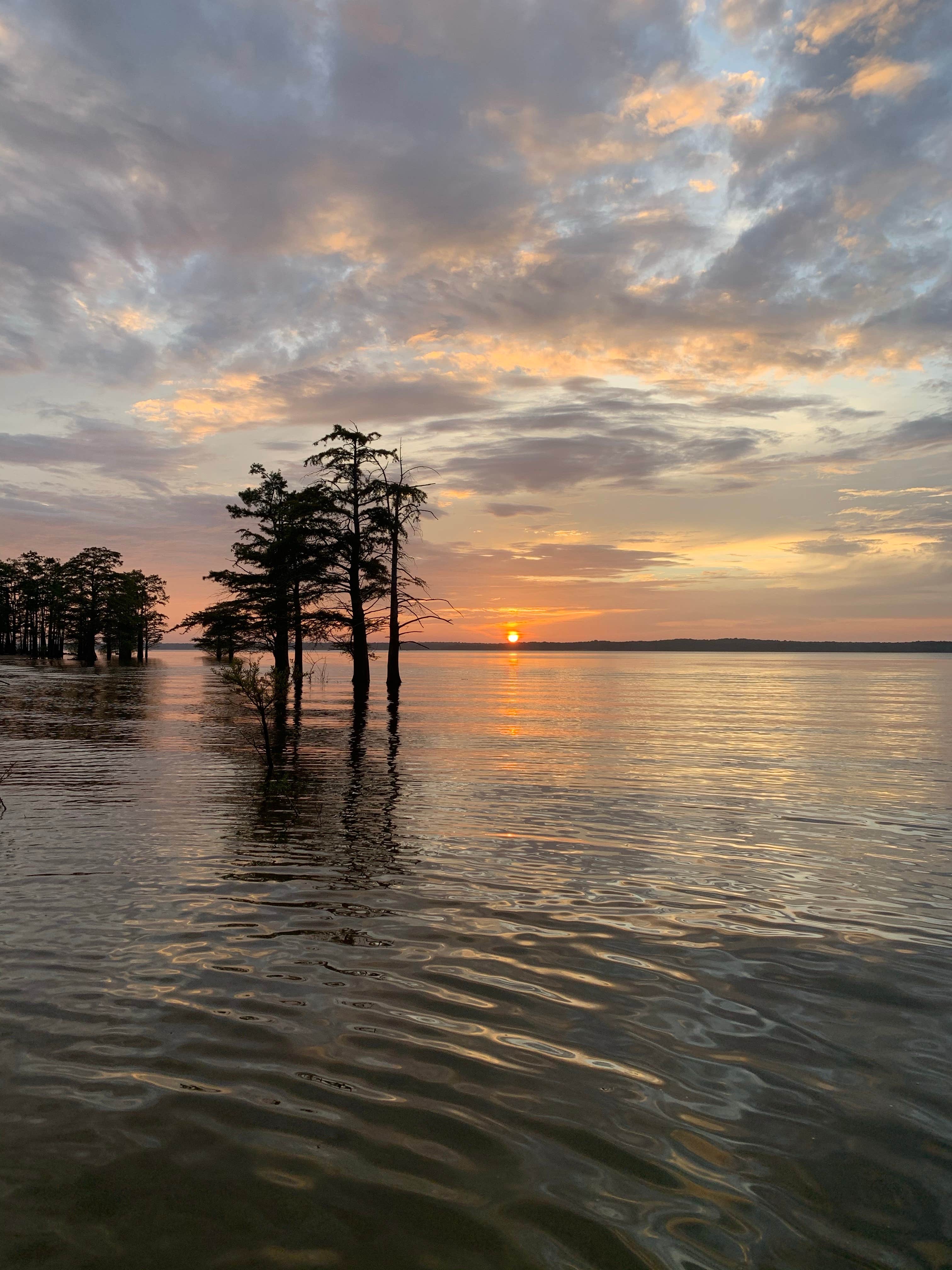 Camper submitted image from Clear Creek - Sardis Lake - 1