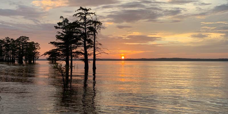 Camper submitted image from Clear Creek - Sardis Lake