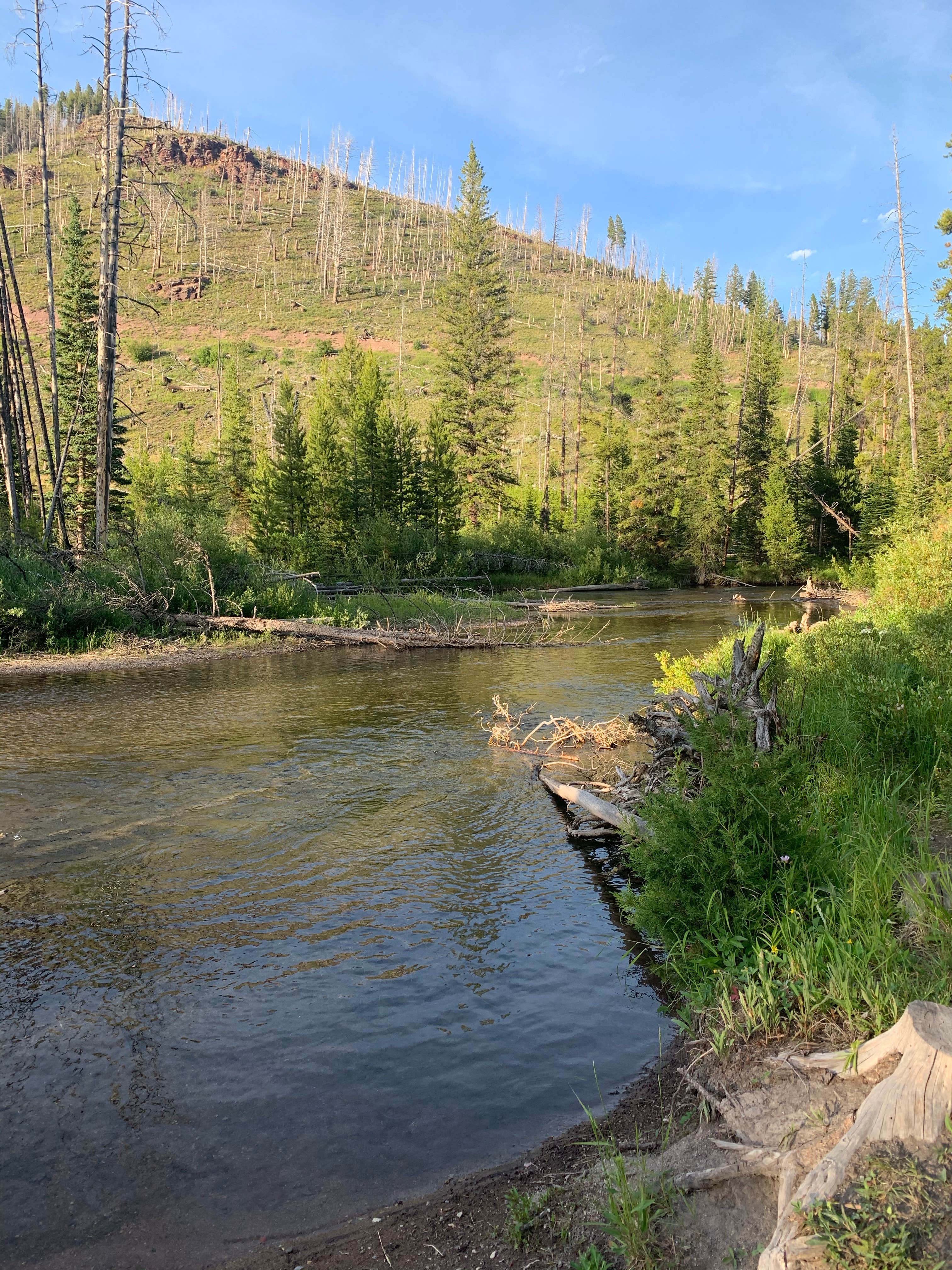 Camper submitted image from Copper Creek Campground - 4