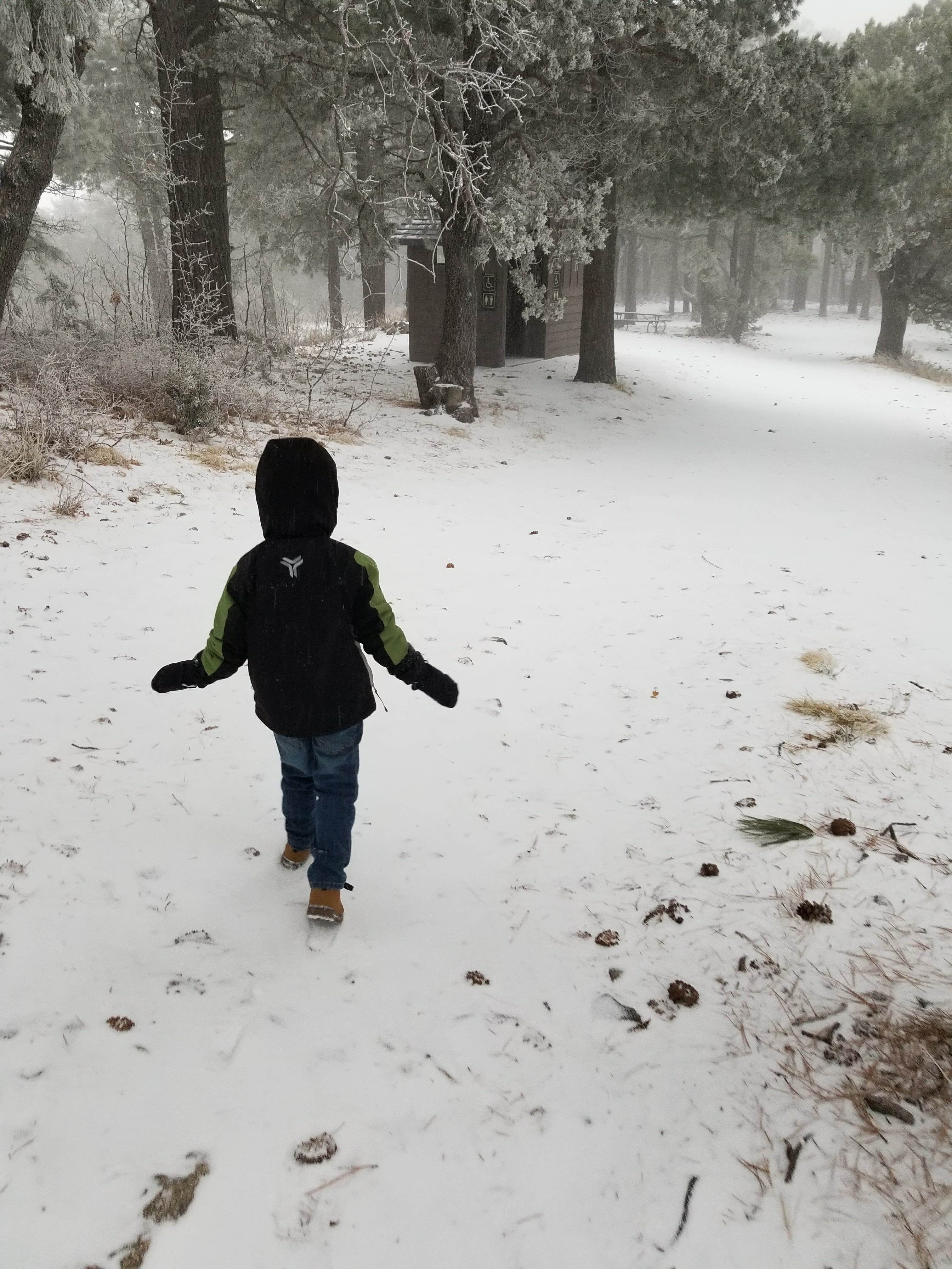 Camper-submitted photo at Pinal Campground near Globe, AZ