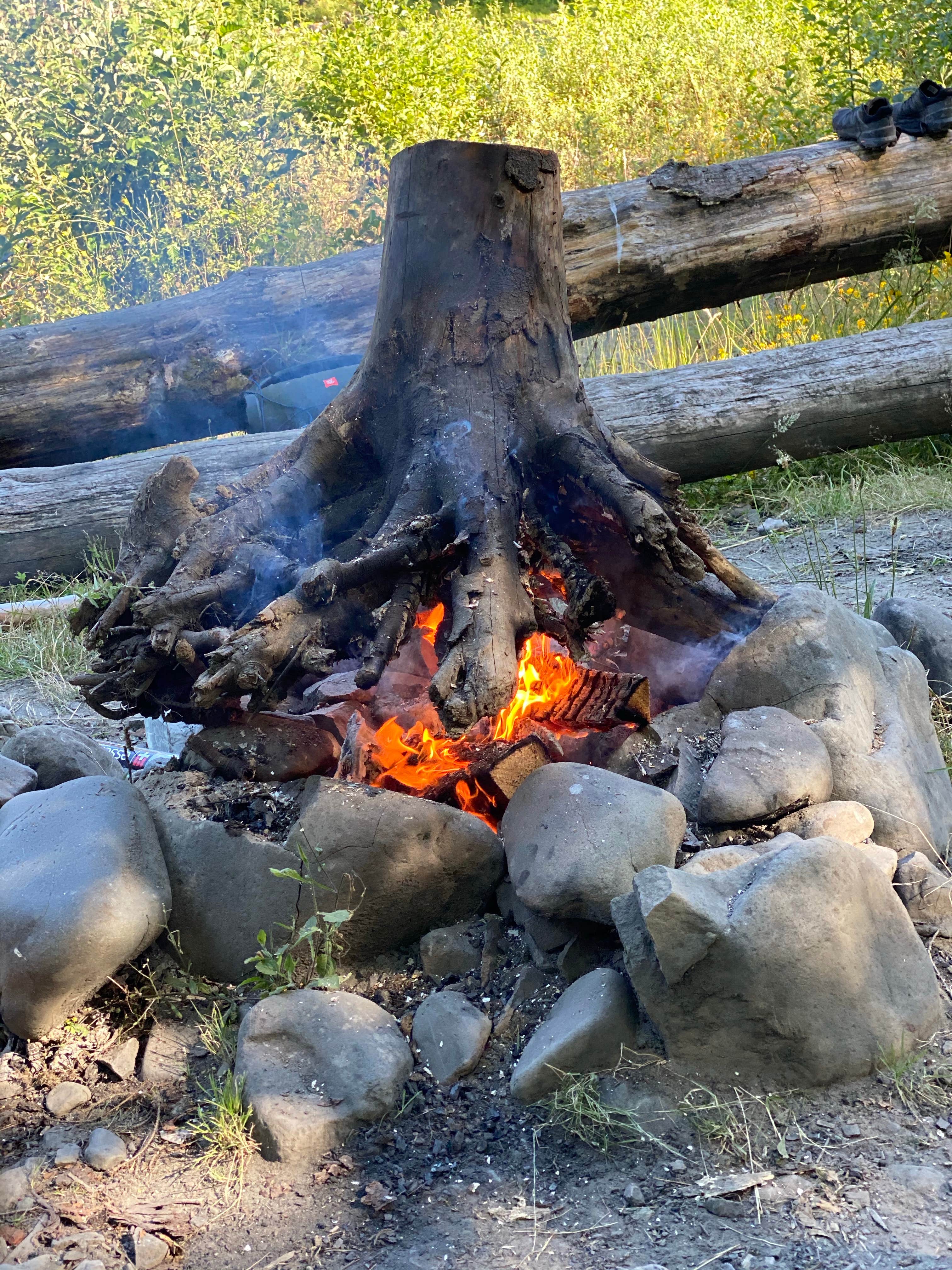 Camper-submitted photo at Cardlin Run — Olympic National Park near Olympic National Park