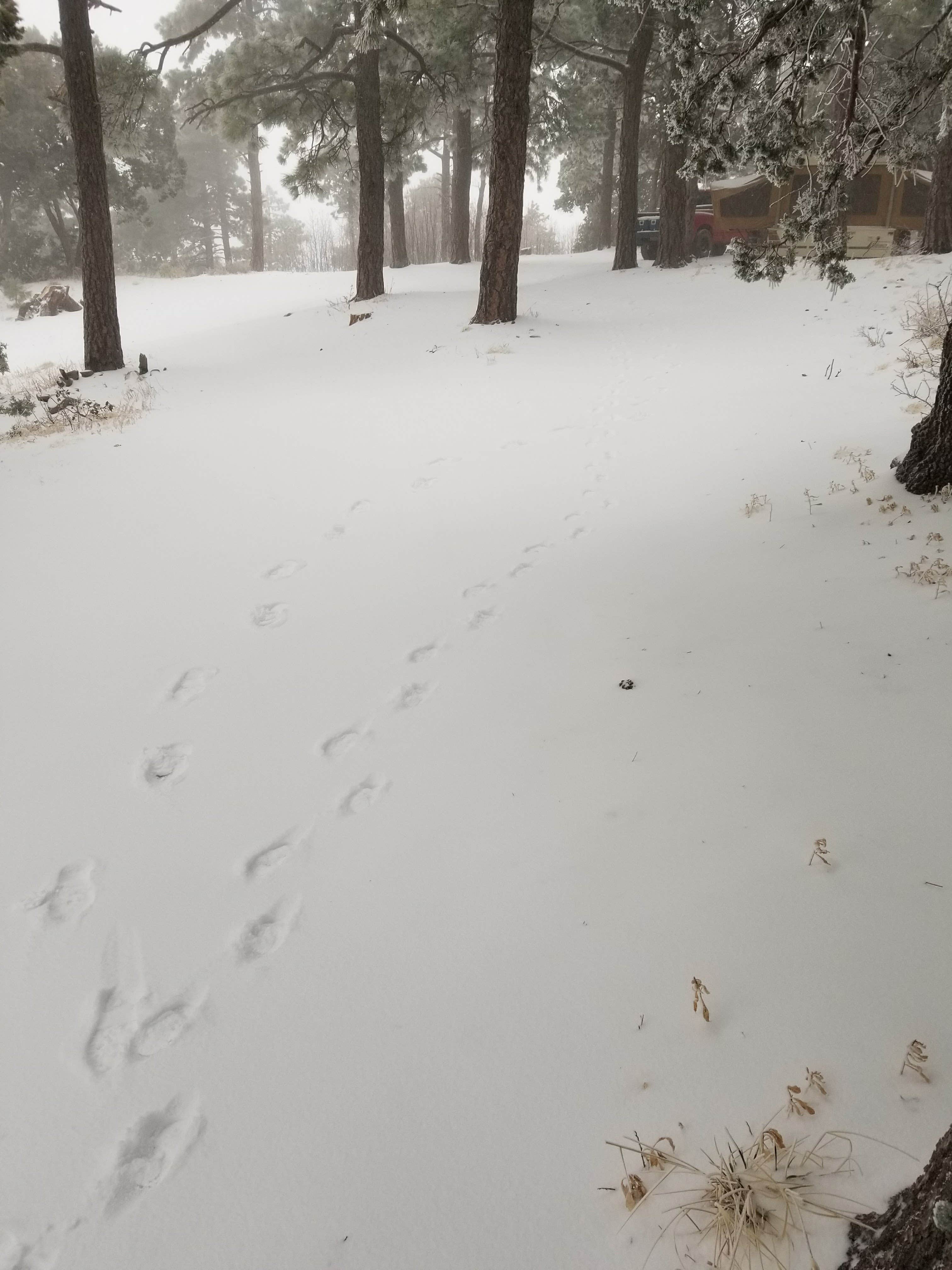 Camper-submitted photo at Pinal Campground near Globe, AZ