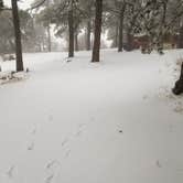 Review photo of Pinal Campground by Krista Z., March 20, 2018